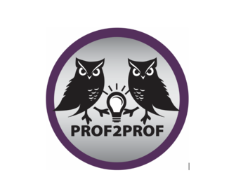 Prof2Prof logo - 2 owls touching a lightbulb between them